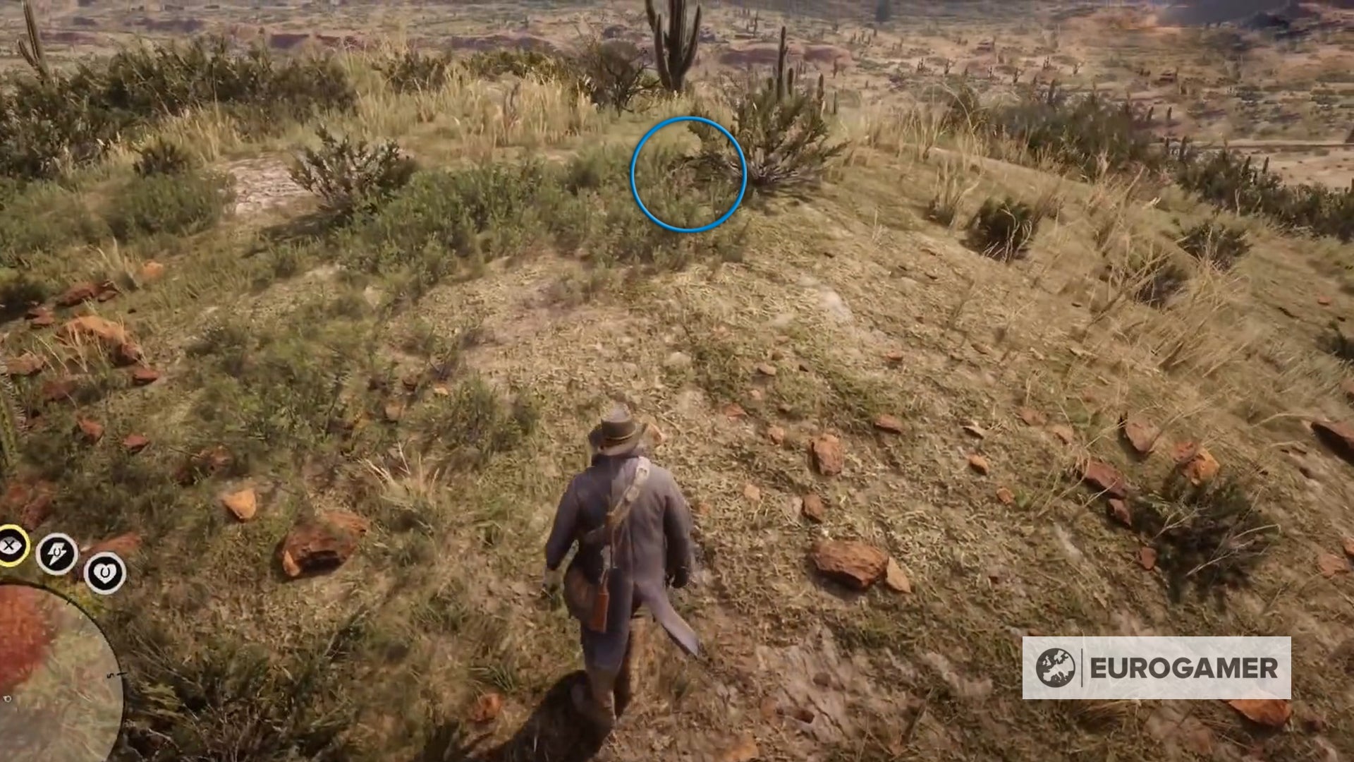 red dead redemption 2 saurierknochen